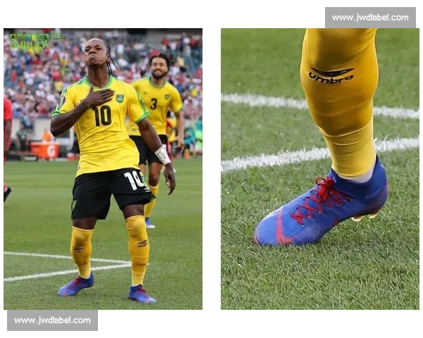 高清足球赛事直播APP下载指南畅享全球赛场精彩即时比分数据分析权威解说 - 副本 - 副本 (74) - 副本 - 副本 - 副本 - 副本 - 副本